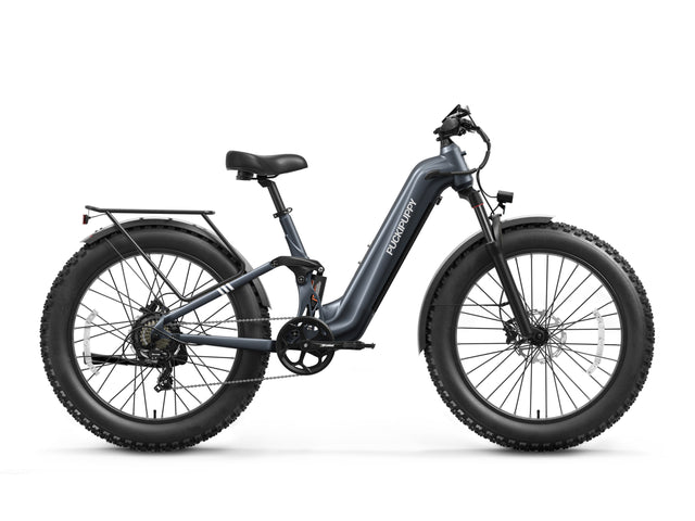 Boxer ST Ebike - Metallic Gray