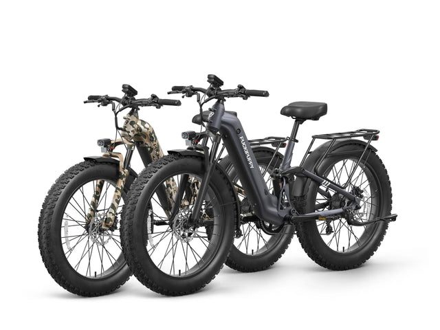 Labrador Pro ST Ebike*2 - Camouflage+Metallic Gray