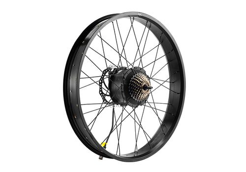 Rear Rim