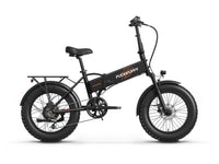 Dachshund Ebike