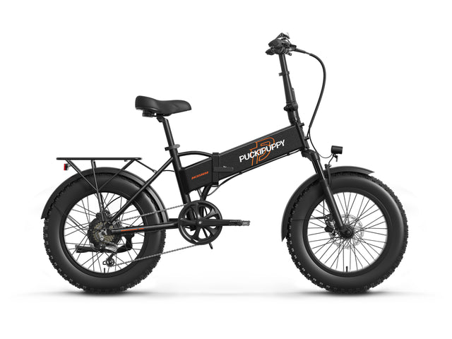 Dachshund Ebike - Black