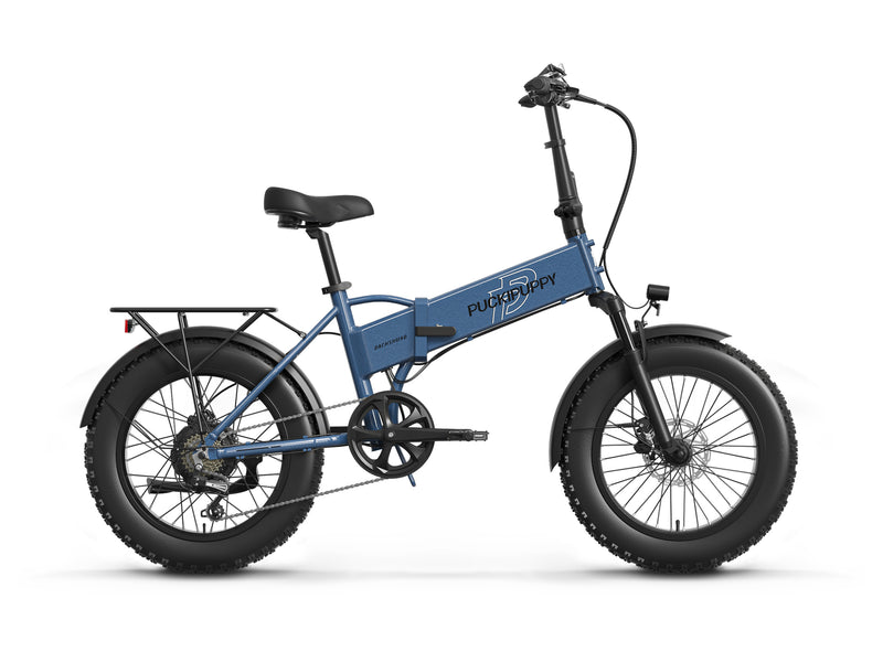 Dachshund Ebike