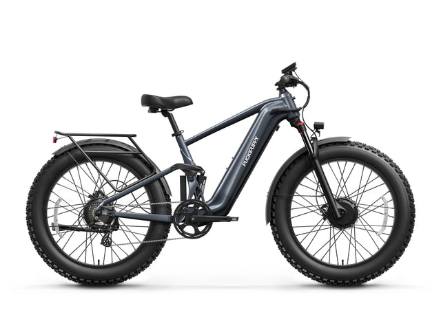 GoldenR Pro Ebike - Gray