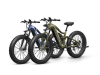 Boxer Ebike*2