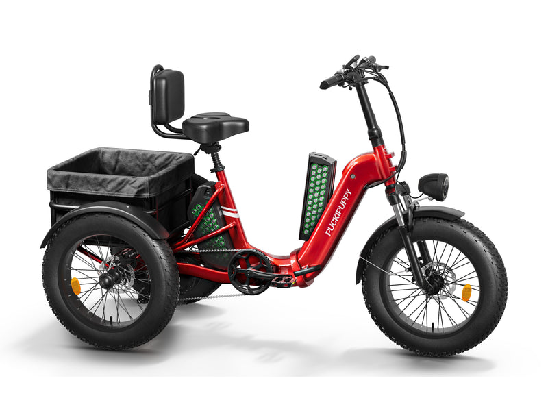 Husky Plus Etrike