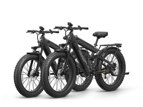 Bulldog Pro Ebike*2 - Iron Gray+Iron Gray