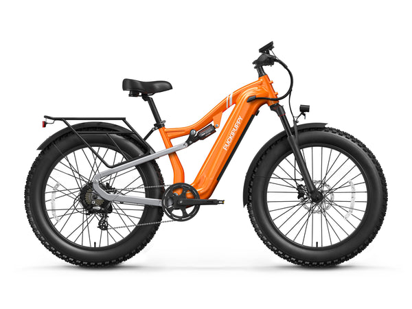 Labrador Pro EbikeOrange / Detachable Display