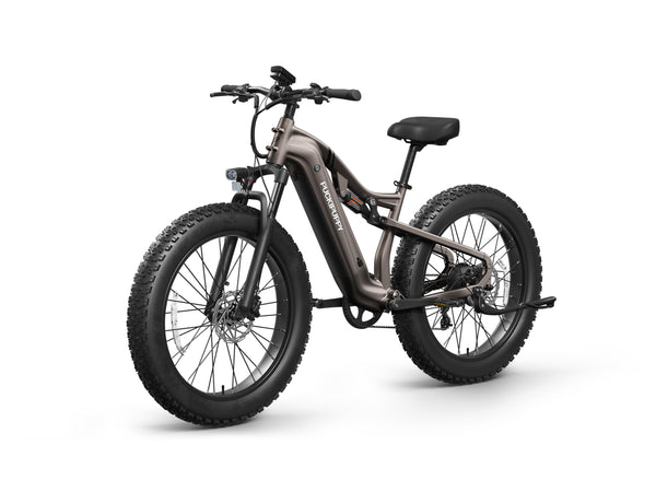 Labrador Pro EbikePlating Gray