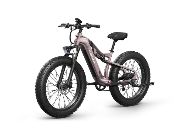 Labrador Pro EbikePlating Gray