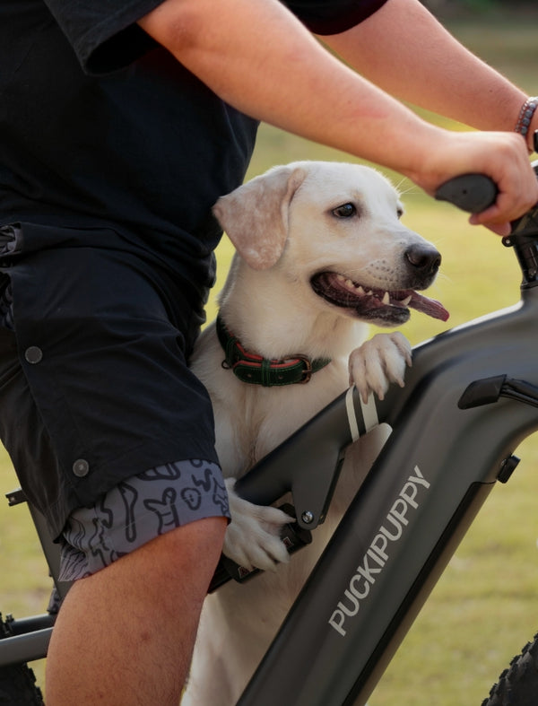 Electric Bike | Fat Tire Electric Bike for All Terrains | PUCKIPUPPY