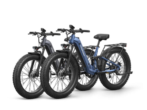 Labrador Pro ST Ebike*2 - Metallic Gray+Blue