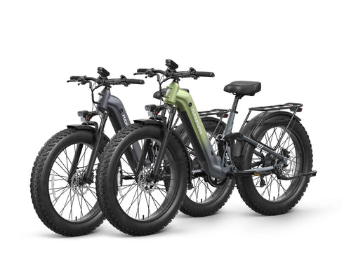 Labrador Pro ST Ebike*2