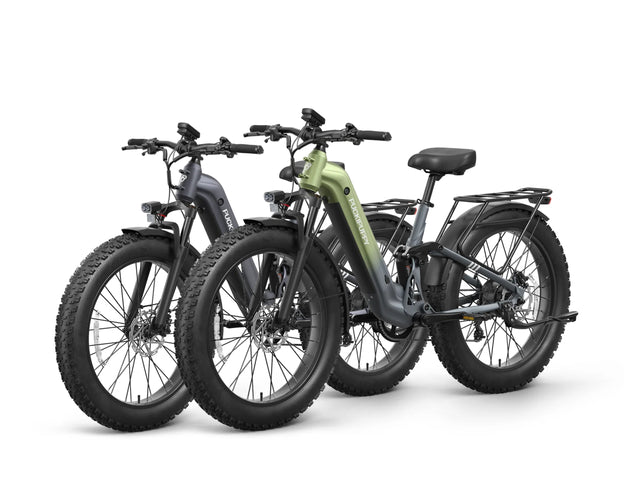 Labrador Pro ST Ebike*2 - Metallic Gray+Gray-Green