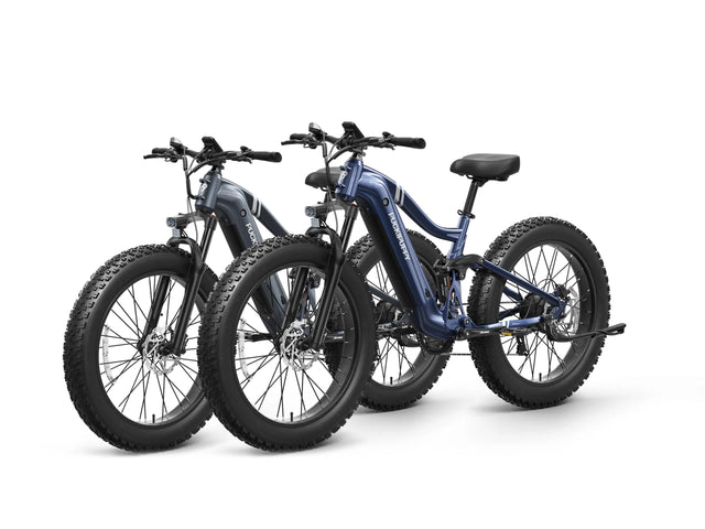Boxer Ebike*2 - Metallic Gray+Grey Blue