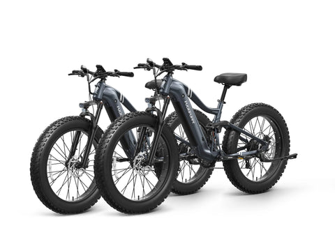 Boxer Ebike*2 - Metallic Gray+Metallic Gray