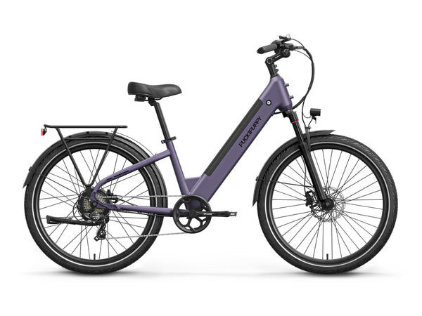 Poodle Ebike