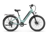 Poodle Ebike