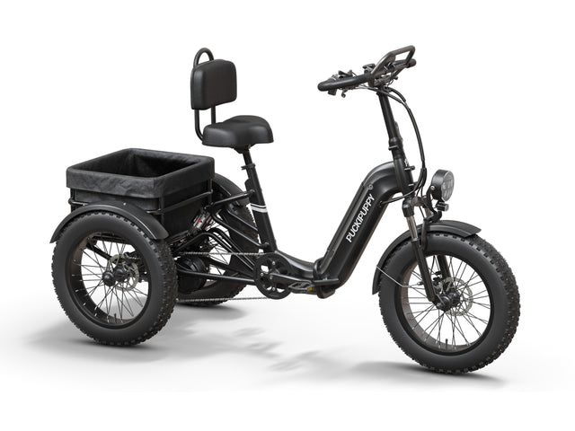 Rottweiler Etrike - Black