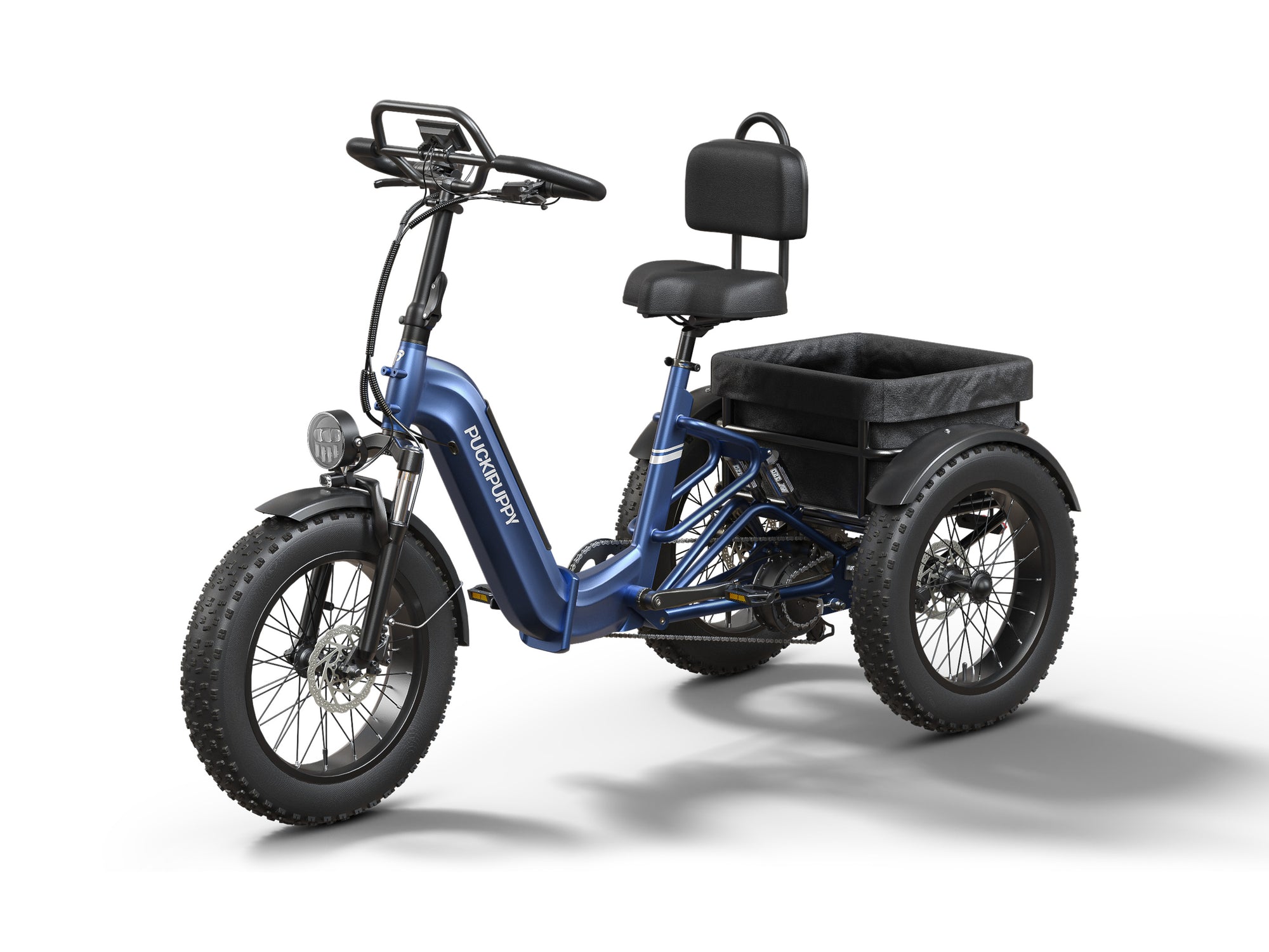 Rottweiler EtrikeBlue