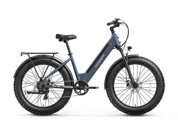 Samoyed EbikeGray Blue