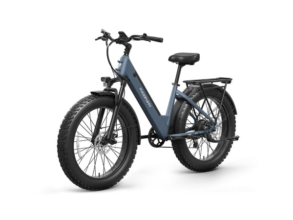 Samoyed EbikeGray Blue