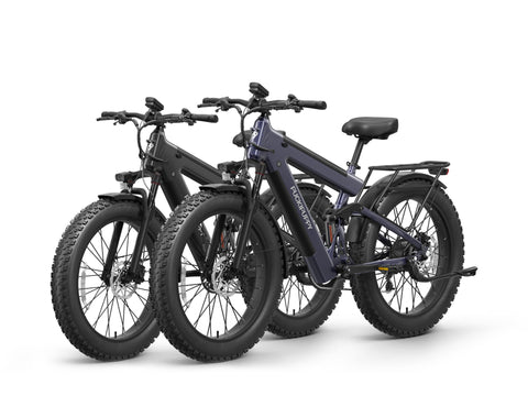 Bulldog Pro Ebike*2 - Silver Blue+Gray