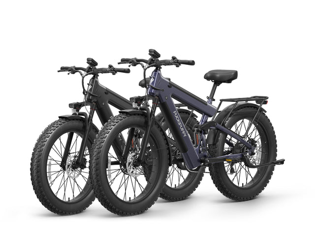 Bulldog Pro Ebike*2 - Silver Blue+Gray
