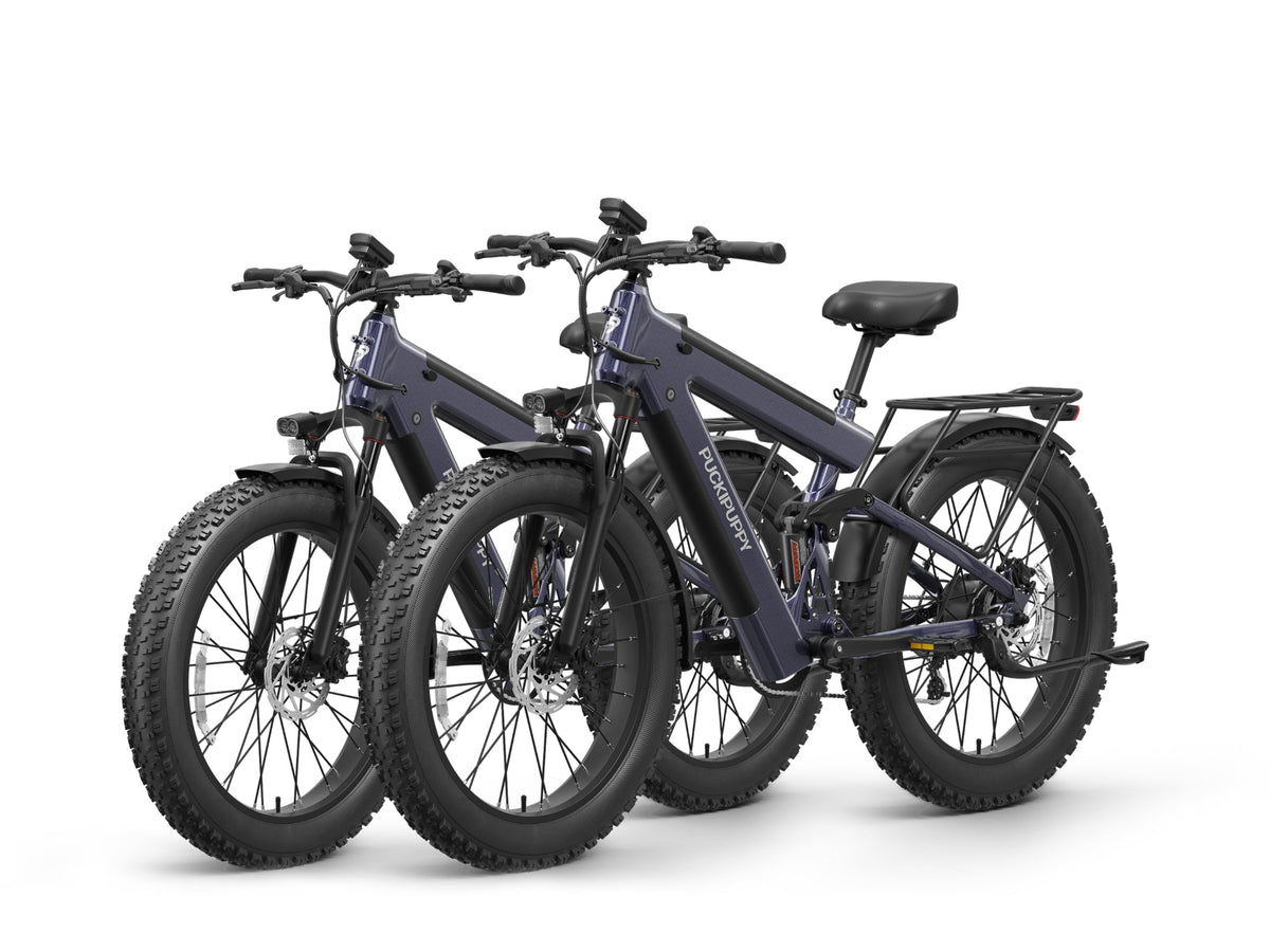Bulldog Pro Ebike*2Silver Blue+Silver Blue