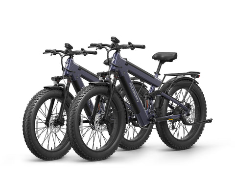 Bulldog Pro Ebike*2 - Silver Blue+Silver Blue