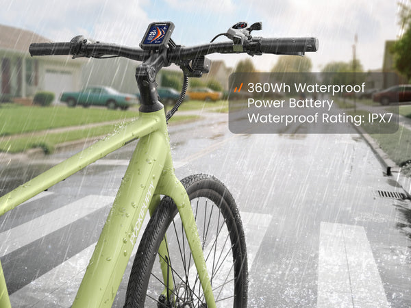 Doberman Ebikegreen yellow