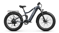 Boxer Ebike