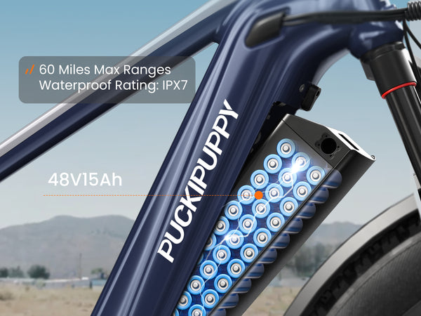 Beagle 2 EbikeNavy Blue + Gray