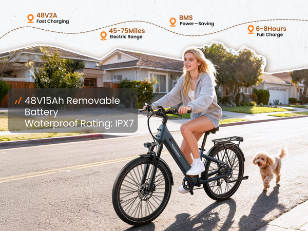 Poodle EbikeSlate Blue