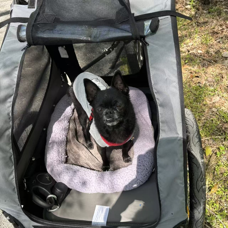 First Trail Ride With Her Little Co-Pilot