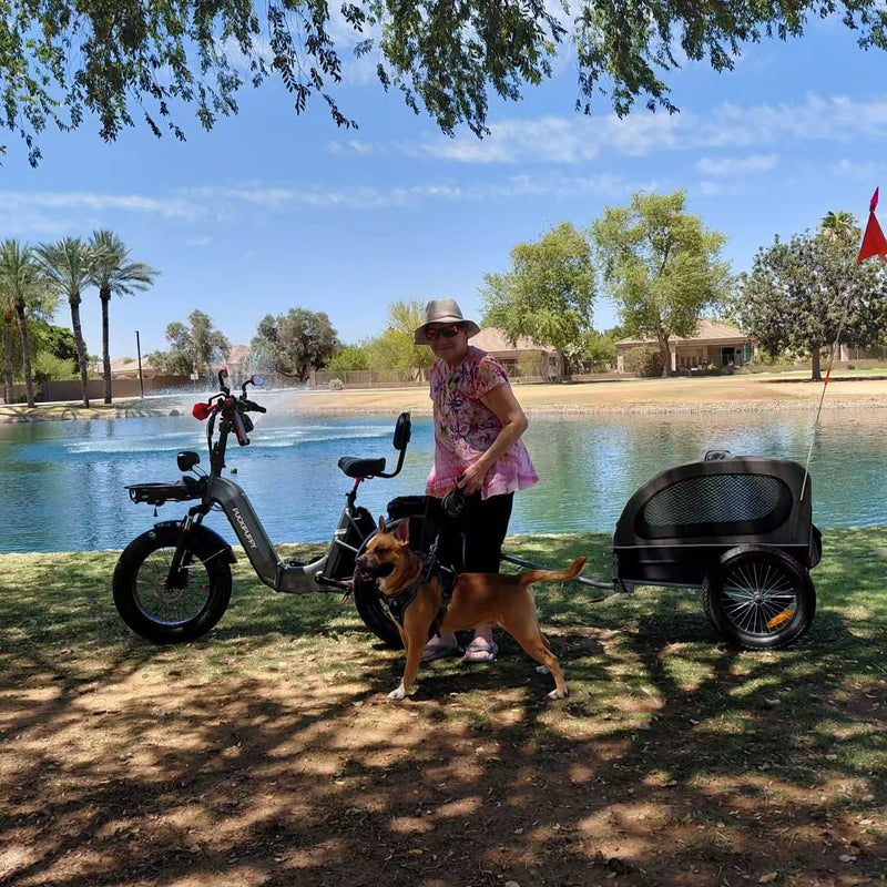 A Day Out by the Lake