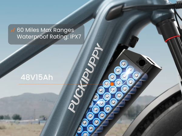 Beagle 2 EbikeMetallic Gray