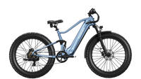 Boxer Ebike